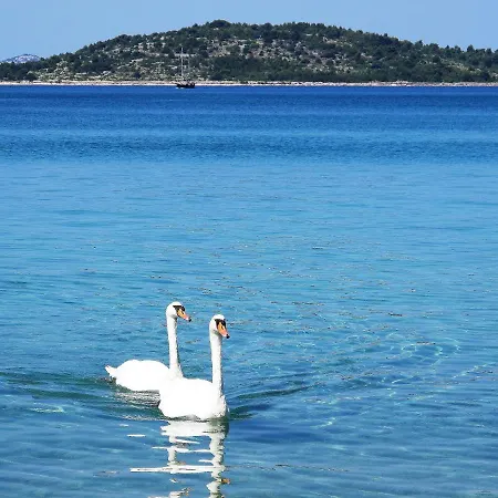 Jadrija * Szybenik