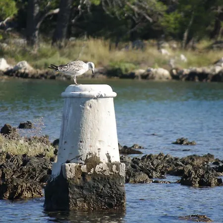 Jadrija بيت للعطل شيبينيك
