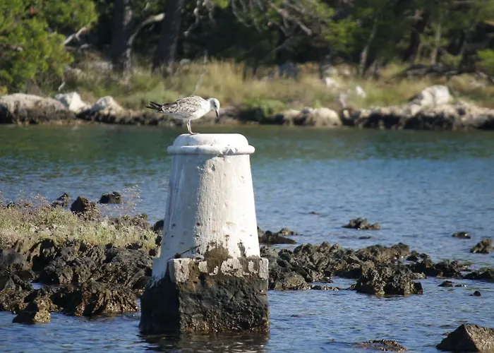 Jadrija Casa de Férias Šibenik